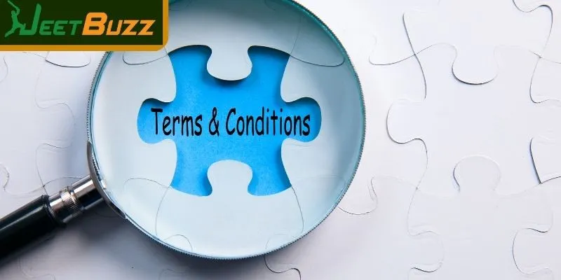 Objective of the terms and conditions