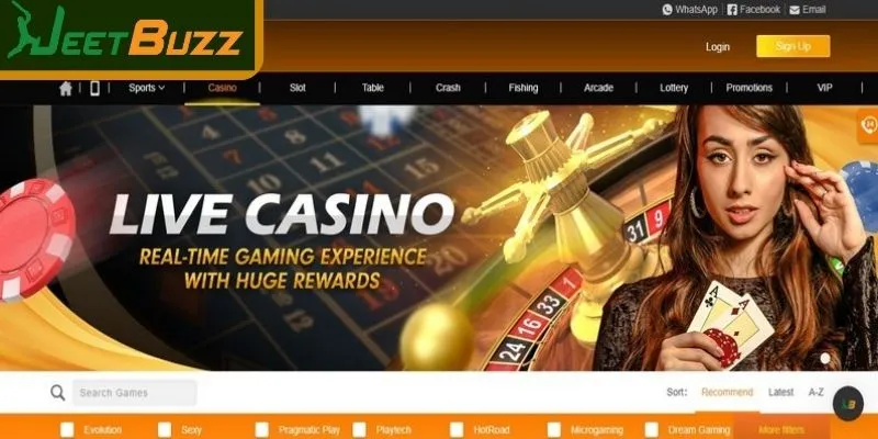Summary of the premium online lounge at JEETBUZZ Casino