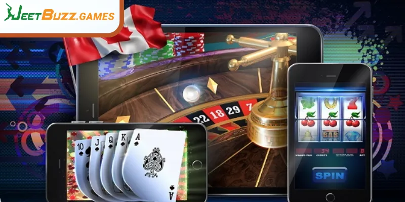 Exploring the variety in live casino offerings
