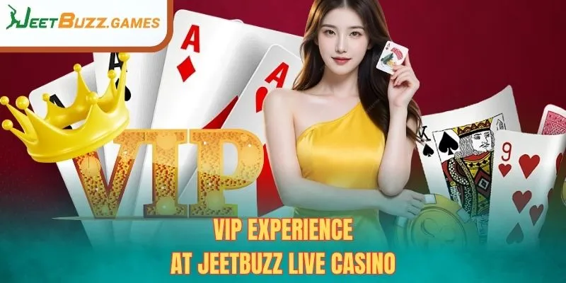 VIP Experience at JeetBuzz Live Casino